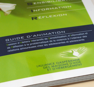 FORMATION À L’ANIMATION DU PROGRAMME